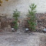 Satva Apartamento