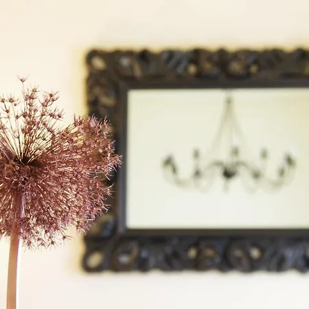 Satva 公寓 维尔纽斯