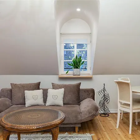 Satva * 维尔纽斯