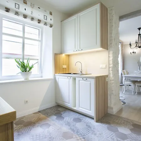 公寓 Satva 维尔纽斯