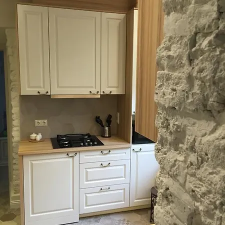 Apartment Satva *