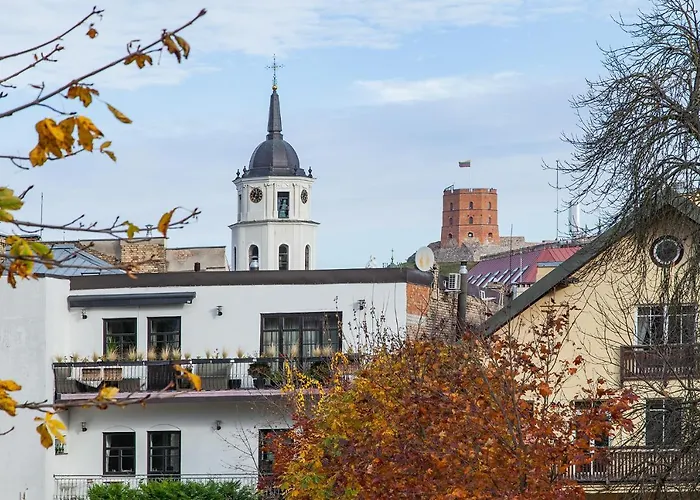 Satva Вильнюс