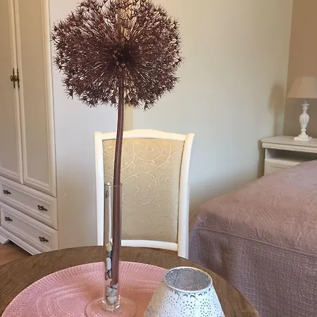 Satva * ヴィリニュス